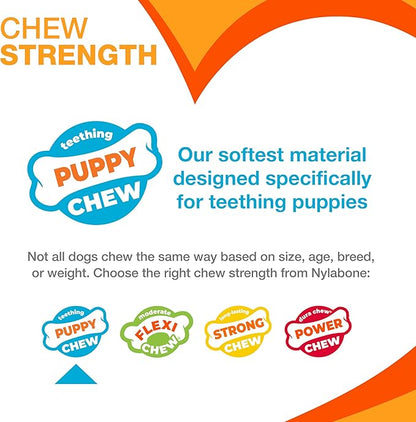 Nylabone Sensory Material Soothing Puppy Chew Toy Bundle, Toys for Teething Puppies, Peanut Butter and Chicken Flavor, Small - Up to 25 lbs, 2 Pack