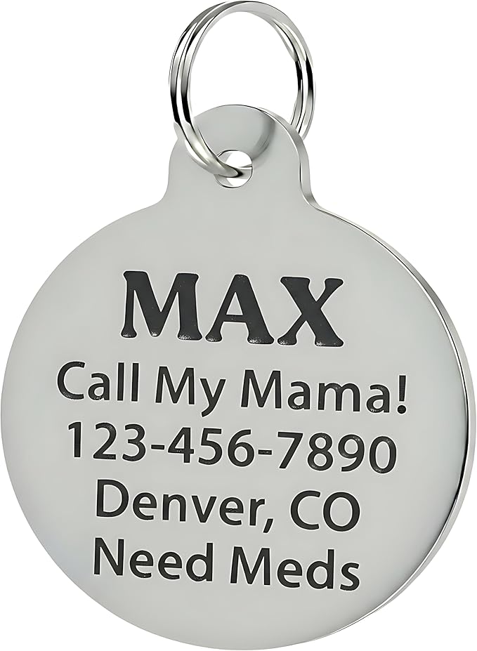 Bad Tags Personalized Dog and Cat ID Tags in 25+ Designs and 2 Sizes - 5 Lines of Custom Engraved Text - Funny Cute Personalized Pet Tags (Branch Manager, Large (1.25 inch))