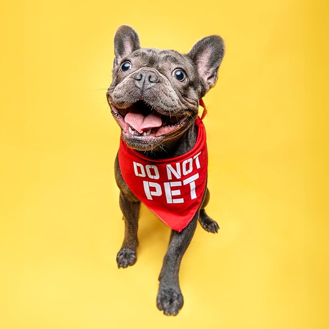 Do Not Pet Dog Bandana (Orange, OS 157)