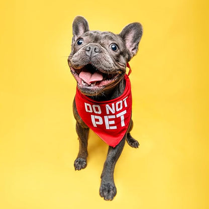 Do Not Pet Dog Bandana (Black, XS 157)