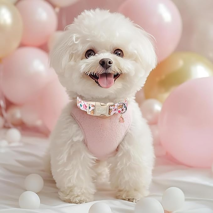 Cute Dinosaur Dog Collar, Adjustable Pink Dino Dog Collars for Puppy Small Dogs, Lightweight Quick-Release Buckle Birthday Collar for Boy&Girl Dogs XS