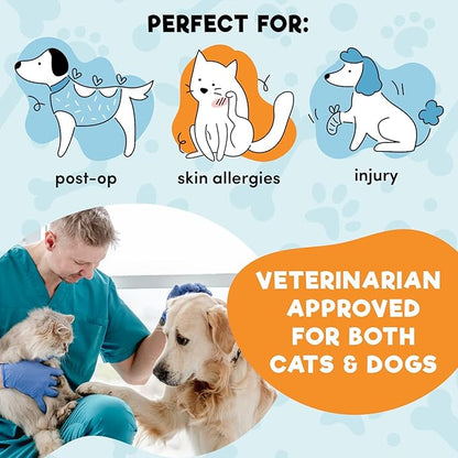 BENCMATE Inflatable Dog Cone Collar Alternative, Soft Dog Cone for Small Medium Large Dogs and Cats, Neck Recovery ECollar Donut Collar After Surgery (Medium, Rainbow)
