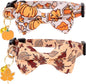 Faygarsle 2 Pack Breakaway Fall Cat Collars with Bow - Boy & Girl - Orange - Autumn Pumpkin Leaf Pattern - Soft Collar - Seasonal Cat Necklace
