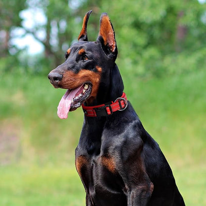 EXCELLENT ELITE SPANKER Reflective Dog Collar Classic Soft Padded Breathable Nylon Adjustable Pet Collar with Quick Release Buckle for Boy Girl Male Female Small Medium Large Dogs Training(Red-S)