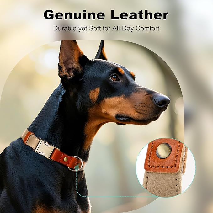 Plutus Pet Genuine Leather & Hemp Dog Collar – Adjustable Heavy Duty Pet Collar with Quick Release Metal Buckle, Soft & Stylish for Puppy and Small, Medium, Large Dogs (Beige, S)
