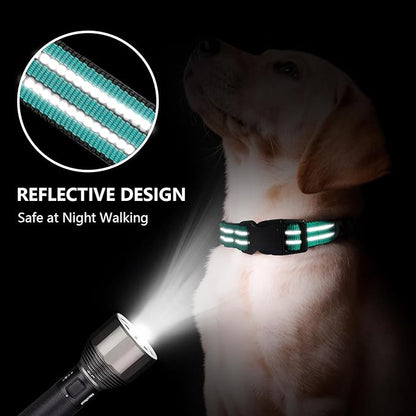 Hikiko Martingale Dog Collars Reflective Nylon Dog Collar with Quick Release Buckle Adjustable Training No Slip Dog Collar (Small, Turquoise)