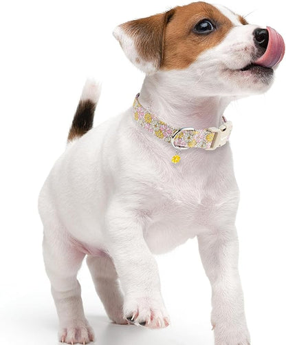 Faygarsle Floral Girl Dog Collar, Cotton Fabric with Daisies Pattern, Pink and Yellow Summer Spring Design for Small Medium Large Dogs M