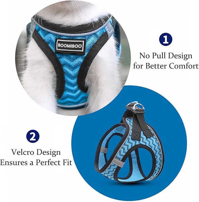 Dog Harness with Leash Set, No Pull Adjustable Reflective Step-in Puppy Pet Vest Harnesses for Small Medium Large Dogs and Cats,Red XXS
