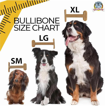 Bullibone Nylon Dog Chew Toy for Aggressive Chewers - Dental Hygiene Bone with Peanut Butter Flavor, Durable Tough Chew Toys for Extra Large Dogs, Indestructible Dog Bone - 2 Pack