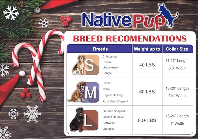 Native Pup Christmas Dog Collar- Winter Holiday Collars for Pets- Xmas Gift for Puppy- Santa, Reindeer, Snowman, Candy Cane, Red Green- Girl Boy- Small, Medium, Large Breeds (Candy Cane, Large)