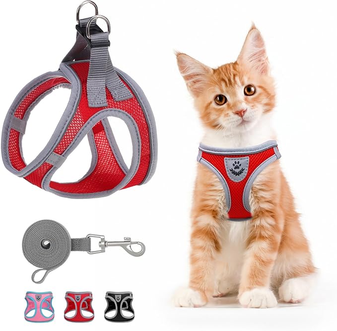 SCENEREAL Cat Harness and Leash Set Escape Proof, Adjustable Soft Air Mesh Kitten Harnesses for Girls Boys Small Medium Big Cats, Reflective Light Travel Pet Walking Vest for Puppy Rabbit, Red M