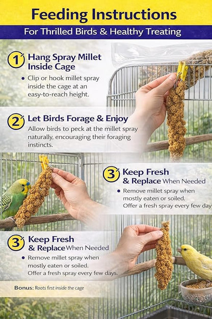 1lb Millet Tips & Tails for Birds - Parakeets, Cockatiels, Lovebirds, Finches, Budgies, Canaries, Cockatoos - Natural & Healthy Millet for Birds - Parakeet Food & Treats for All Parrots (2 Pack)
