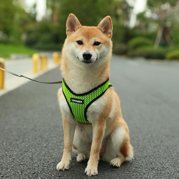 Best Pet Supplies - All Weather Mesh/Plush, Reflective, No Pull Harness for Small, Medium Dogs, Cats - Secure with Hook & Loop Fastener, Buckle, Double D-Rings - Lime Green 2-Tone, S