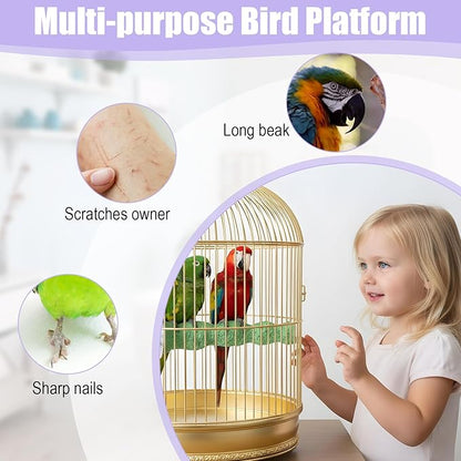 Bird Beak Grinding Stone 2 Pcs Bird Parrot Cage Perch Stand Platform Foot Claws Trimmer Chewing Toys for Small Medium Birds Cage Accessories for Budgies Cockatiels Conures