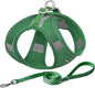 AIITLE Step in Dog Harness and Leash Set - No Pull Escape Proof Vest Harnesses with Soft Mesh and Reflective Bands, Adjustable Pet Outdoor Harnesses for Small and Medium Dogs Green M
