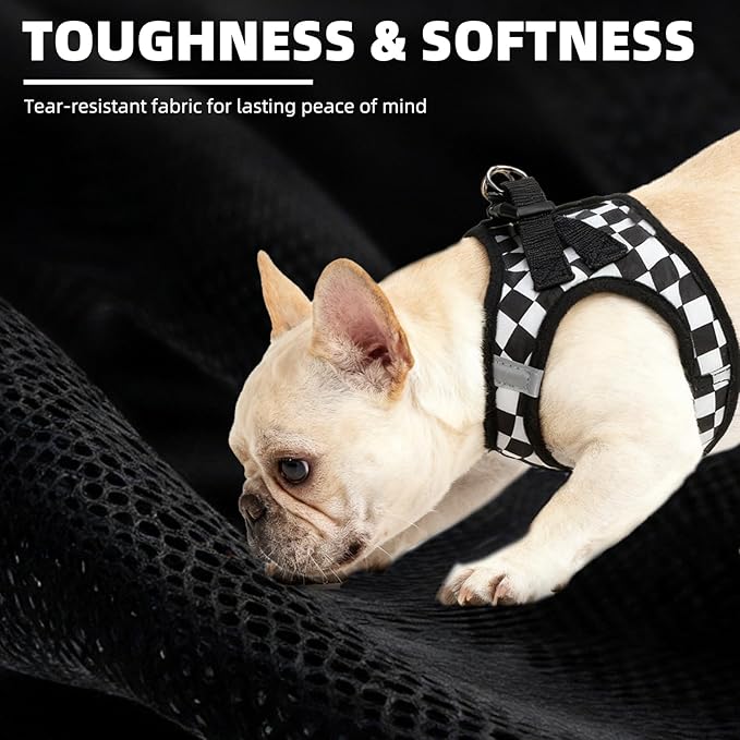 PUPTECK Adjustable Dog Harness Collar and Leash Set Step in No Pull Pet Harness for Small Medium Dogs Puppy and Cats Outdoor Walking Running, Checkered Black&White S