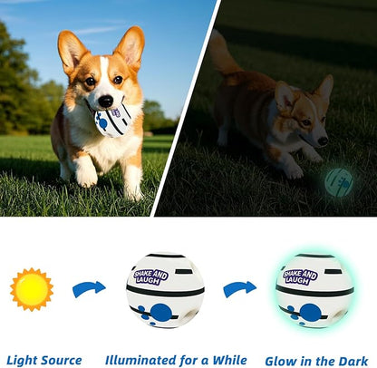 Glow in The Dark Dog Toys Ball, Interactive Dog Ball, Shaking with Gibbering Sound, M, 3.46 in (8.8 cm)