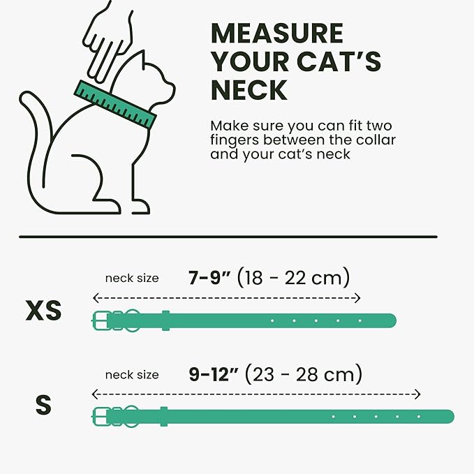 BRONZEDOG Leather Cat Collar with Removable Bells Non Breakaway Kitten QR Tag for Girl Boy (9" - 12" Cats/Mini Dogs, Green & Gold)