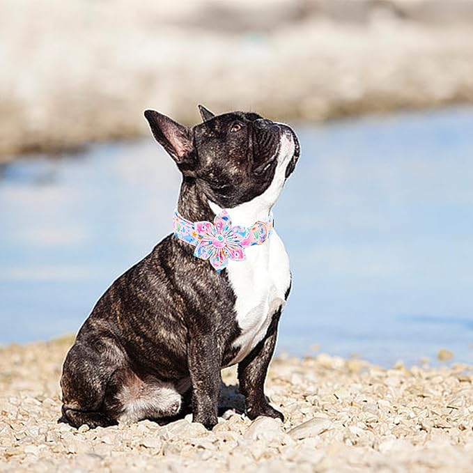 Lionheart glory Dog Collar Flower Pink Dog Collars with Flower Summer Cute Sea Animals Print Collar Dog Female Soft Durable Adjustable Dog Collars for Large Dogs