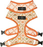 Lucy & Co. Cute Reversible Dog Harness Walking Halter - Best Designer Pet Harnesses for XS - XL Dogs - Padded Adjustable Vest for Easy Walking-Large-Orange Cream Pumpkin