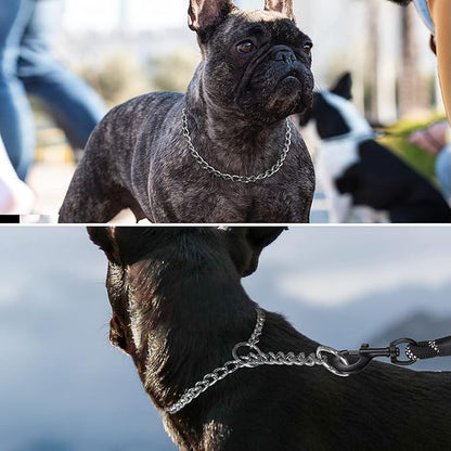 TagME Chain Choke Collar for Dogs, Adjustable Weather Proof Necklace for Medium Dogs, Alloy Steel Pet Training Collar