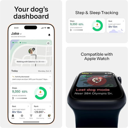 New Fi Series 3+ Smart Dog Tracker Collar [6 Month Membership Included] GPS Tracker for Dogs with Health & Behavior Monitoring, Escape Alerts, Waterproof, LED, Apple Watch Compatible (Yellow, Small)