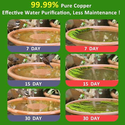 Bird Bath Copper Disk, 0.6mm Thick 99.99% Pure Copper Purification Disk with Triple-Point Support, Safe Physical Cleaning for Outdoor Birdbaths, Bowls, All-Season Universal Fit