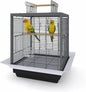 Bird Flight Cage 16 x 16 x 20 Inch, Wrought Iron Parrot Cage with Top Carry Handle, Food Cup, Removable Tray and Perches, Bird Carrier for Parakeet, Cockatiels, Budgies and Small Medium Birds