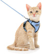 Dooradar Cat Harness and Leash Set, Escape Proof Safe Adjustable Kitten Vest Harnesses for Walking, Easy Control Soft Breathable Mesh Jacket with Reflective Strips for Cats,Light Blue, XS