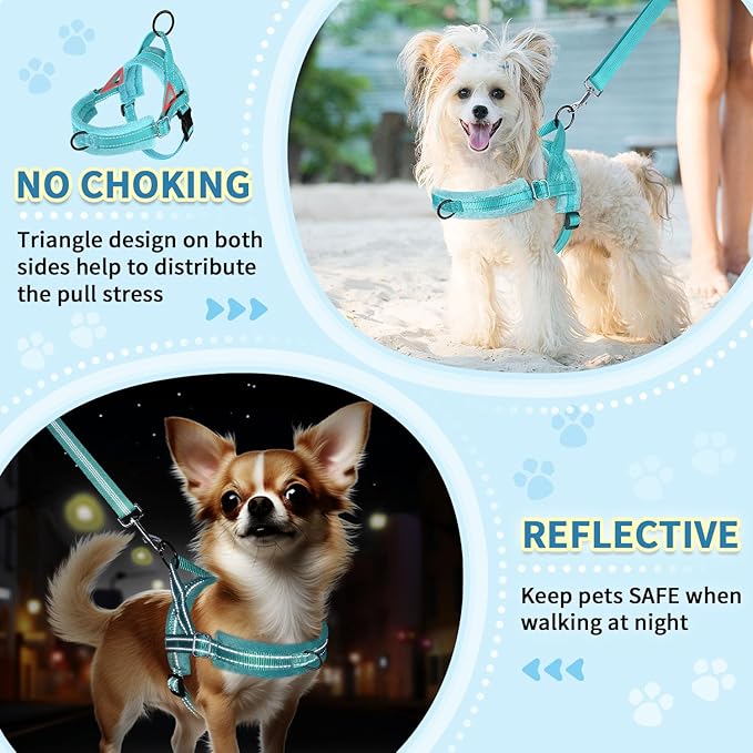 SlowTon No Pull Small Dog Harness and Leash Set, Puppy Soft Vest Harness Neck & Chest Adjustable, Reflective Lightweight Harness & Anti-Twist Pet Lead Combo for Small Medium Dogs (BL-Front Clip,XS)