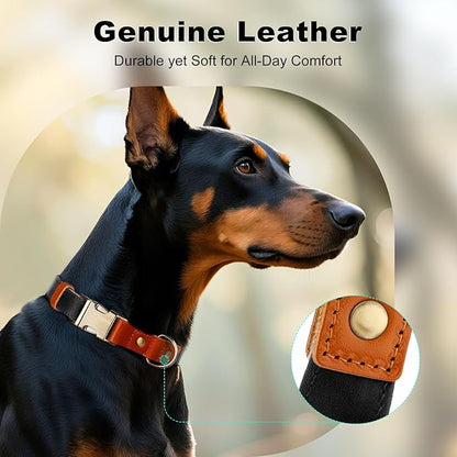 Plutus Pet Genuine Leather & Hemp Dog Collar – Adjustable Heavy Duty Pet Collar with Quick Release Metal Buckle, Soft & Stylish for Puppy and Small, Medium, Large Dogs (Black, XS)