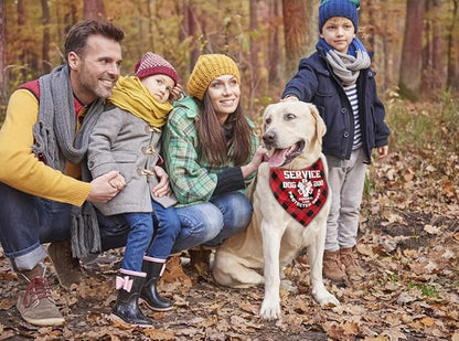 Dog Bandana, Therapy Dog Please Pet Me with, Dogs Scarf Classical Printing, Dogs Scarf Accessories, Doggy Kerchief Pet Kerchief, Christmas Birthday Thanksgiving Doggy Gift A09