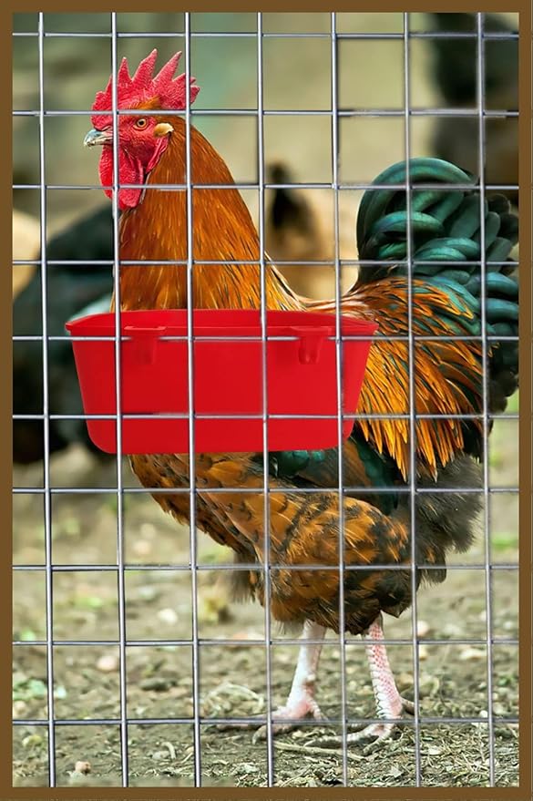 5 Pack Cage Cups Chicken Birds Feeder Water Bowl 25 OZ Rabbit Feeding Watering Dish for Travel Carrier Cat Puppy Food Dispenser Hanging Wire Cages Treats Box Seed Drinking Coop Cup Birdbath