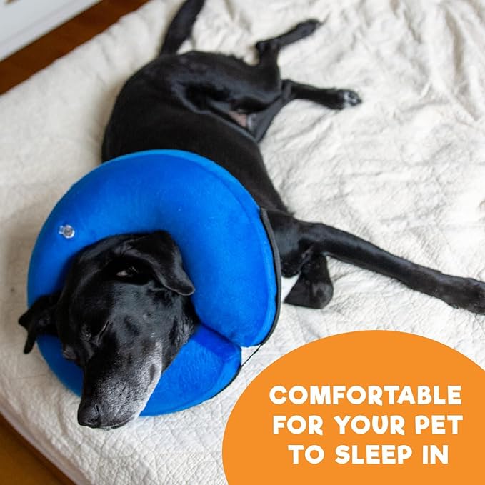 BENCMATE Inflatable Dog Cone Collar Alternative, Soft Dog Cone for Small Medium Large Dogs and Cats, Neck Recovery ECollar Donut Collar After Surgery (Medium, Shark)