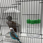 No Mess Bird Feeder Water Dispenser Set, Automatic Bird Feeder for Cage Transparent Acrylic Food Container Drinker Cage Accessories Parakeet Cockatiel Lovebird Finch (White)