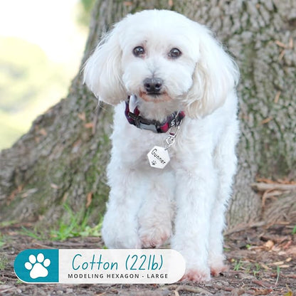 Ultra Joys Dog Tags Personalized for Pets - Hollow Paw Custom Pet ID Tag - Engraved Dog Tag for Small, Large Dogs - Small Hexagon in Gold