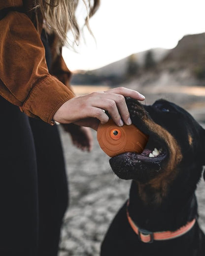 Mewlmart Giggle Ball for Dogs Owl Toys for Aggressive Chewers Dog Ball Toy for Puppy Medium Large Dogs Fun Gift for Dog Natural Rubber Cute Hoot Brown