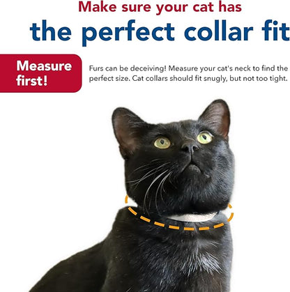 Coastal Pet New Earth Soy Adjustable Breakaway Cat Collar - Eco-Friendly, Odor-Resistant and Adjustable Cat Collar, Rose, 3/8" x 08"-12"