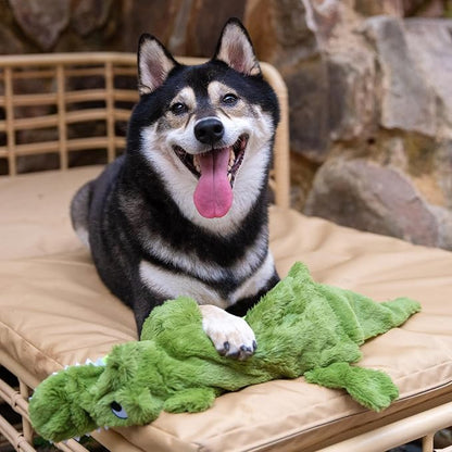 Best Pet Supplies Squeaky Dog Toys with Soft Durable Fabric for Small, Medium and Large Pets Interactive Toy for Indoor Play, Supports Active Biting and Play - Duck & Alligator, Small