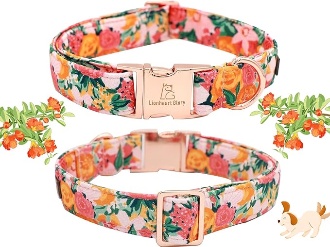 Lionheart Glory Cute Floral Pattern Pet Collar - Adjustable for X-Large Dogs