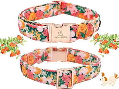 Lionheart Glory Cute Floral Pattern Pet Collar - Adjustable for X-Large Dogs