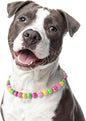 Beaded Dog Necklace Collar, Adjustable Jewelry-Inspired Design with Sparkle Beads (Vivid Tropics, Large)
