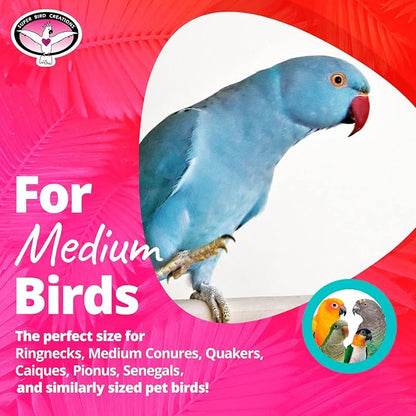 Super Bird Creations SB748 Flying Trapeze Bird Toy for Conures, Quakers, Cockatiels, Parrots, Senegals, Multi-Colored Chain, Seagrass Mat, Enrichment Toy - Medium Bird Size, 14" x 13" x 12"