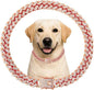 Cuban Link Cat Collar Rose Glod Crystal Dog Necklace Metal Chain Collar with Design Secure Buckle Pet Collar Jewelry Accessories for Small Medium Large Dogs Cats(Rose Glod 10inch)
