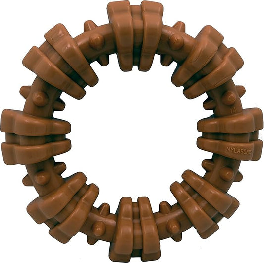 Nylabone Textured Ring Power Chew Toy for Small Dogs, Tough Dog Toys Durable Design for Aggressive Chewers, Best Dog Boredom Toys, Flavor Medley, Small - Up to 25 lbs (1 Count)