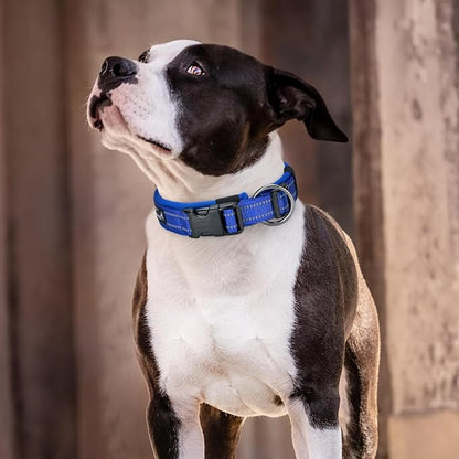 EXCELLENT ELITE SPANKER Reflective Dog Collar Classic Soft Padded Breathable Nylon Adjustable Pet Collar with Quick Release Buckle for Boy Girl Male Female Small Medium Large Dogs Training(Black-L)