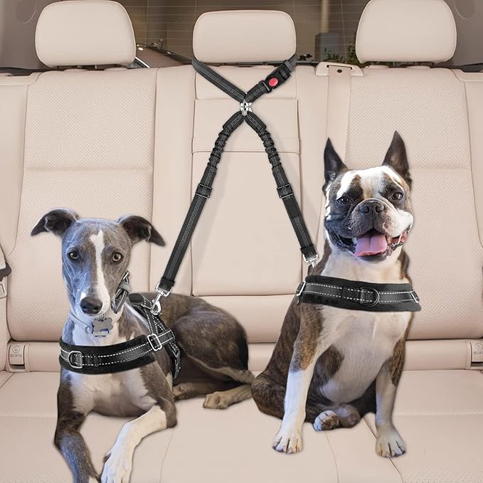 Dog Seat Belt for Car, Dual Pet Vehicle Headrest Restraint Safety Seatbelt,Two Dog Leash No Tangle Dog Car Leash Seat Belt,Duty Adjust Elastic Connect Harness in Vehicle Travel(Black)