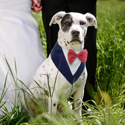 FUAMEY Dog Tuxedo for Small Dogs,Dog Formal Suit Dogs Attire Pet Bow Tie Puppy Party Costumes Cat Tux Outfits Pets Bandana Cosplay Adjustable Bowties Wedding Birthday Valentines Blue XS