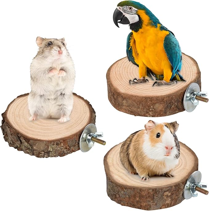 9 PCS Natural Wood Bird Perch, Wooden Parrot Perch Stand Bird Cage Branches Platform Accessories for Parakeets Cockatiels Conures Macaws Finches Love Birds