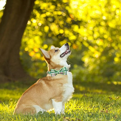 Elegant Little Tail Dog Collar with Pink & Green Plaid Bow - Cute Bowtie, Adjustable X-Small Puppy & Cat Collar